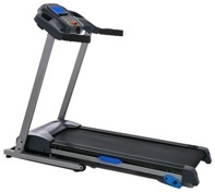 Беговая дорожка Royal Fitness RF-1