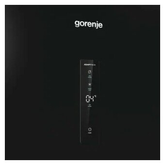 Холодильник Gorenje R619EABK6